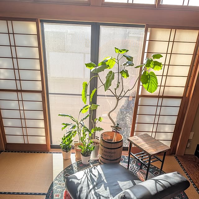 naoporonさんの部屋