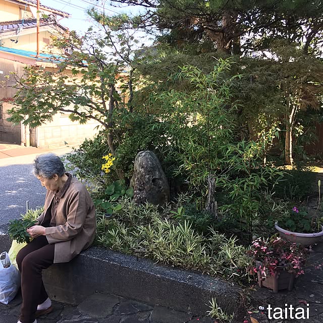 taitaiさんの実例写真