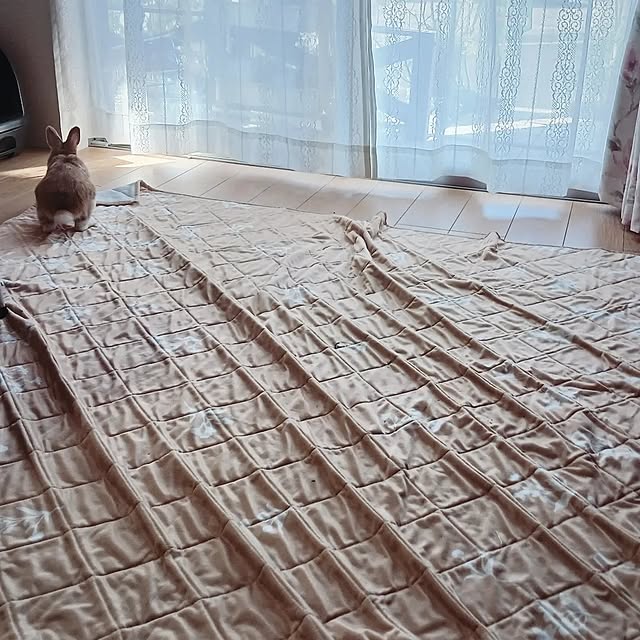 aiさんの部屋