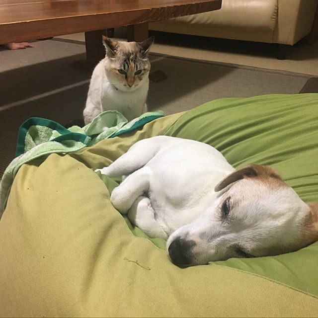 nanaさんの実例写真
