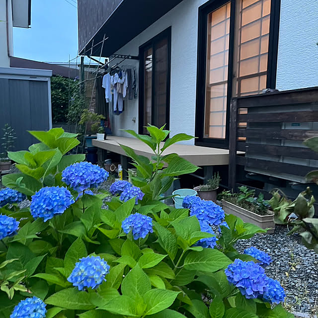 tomさんの実例写真