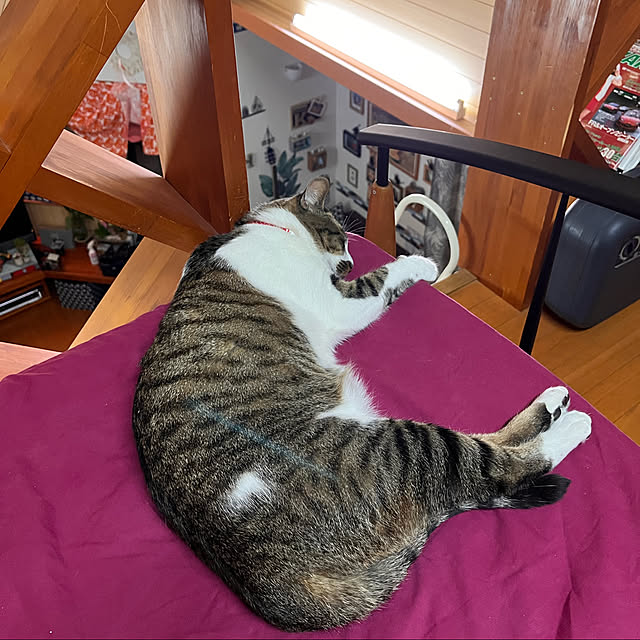 jijiさんの実例写真
