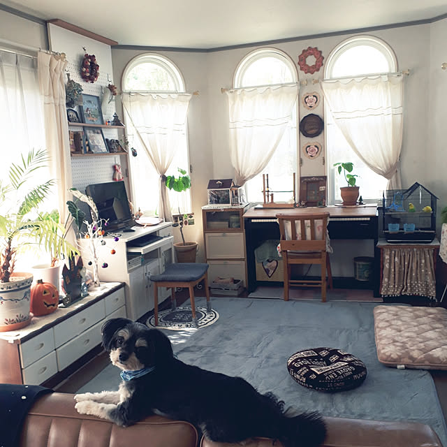 AcchanSaysさんの実例写真