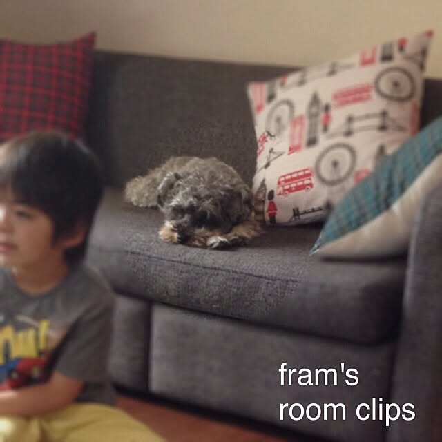 framさんの実例写真