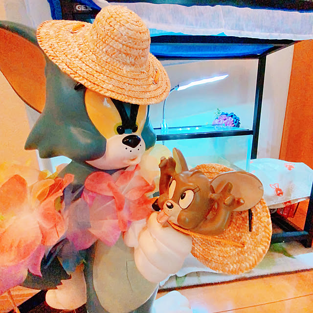 moolさんの実例写真
