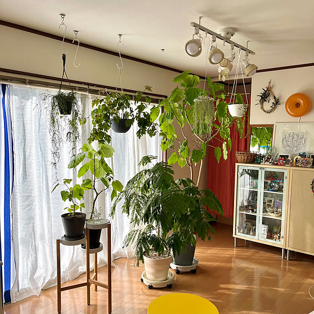 65-24oxoさんの部屋