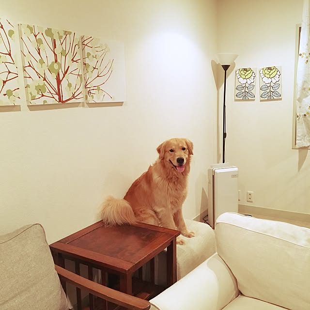 soleさんの実例写真