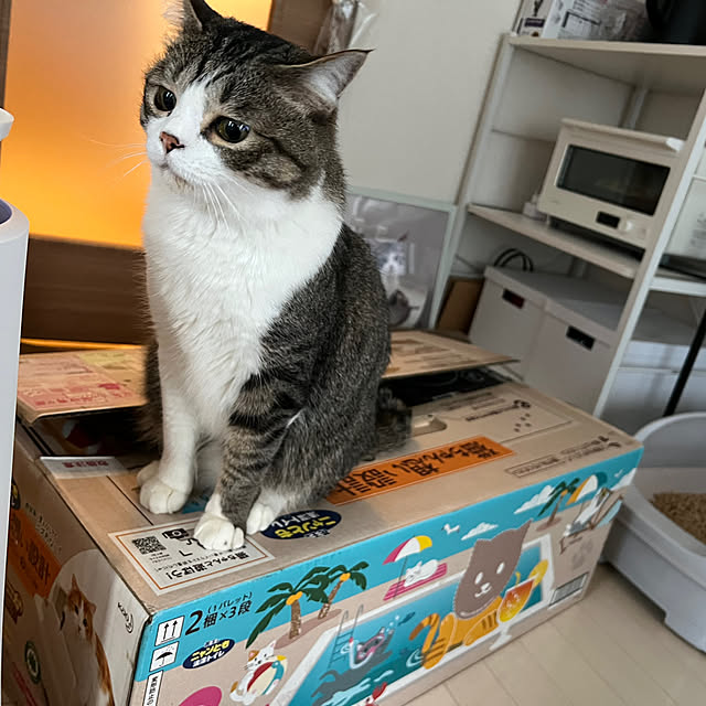 odashiさんの部屋