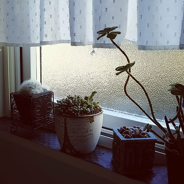 bousuke.215112さんの実例写真