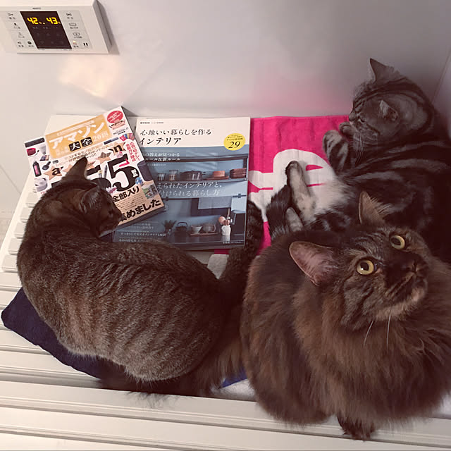 mikomaruさんの実例写真