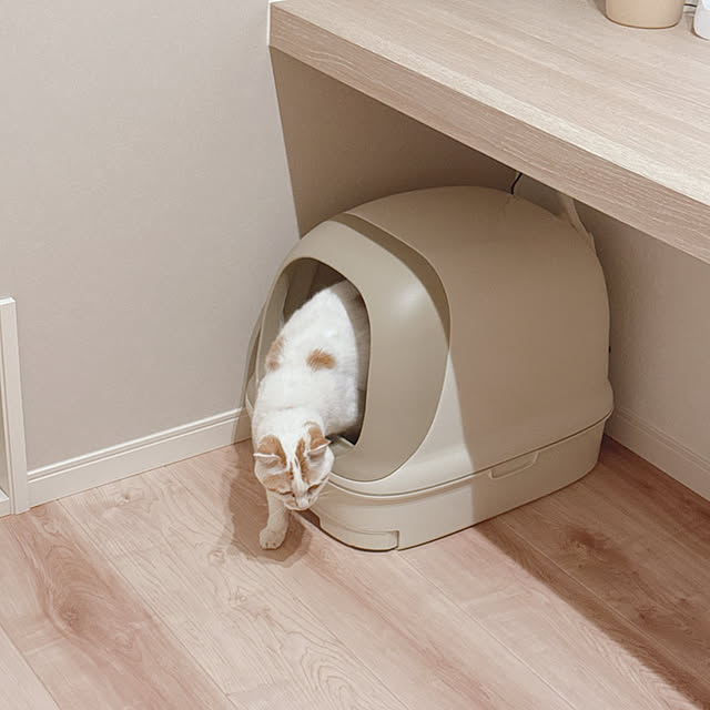 nennekoさんの実例写真