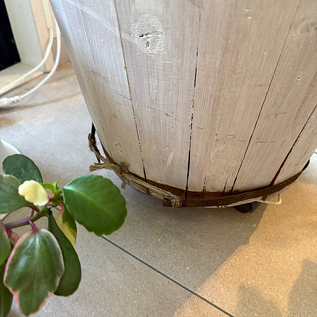 momo_sanさんの部屋