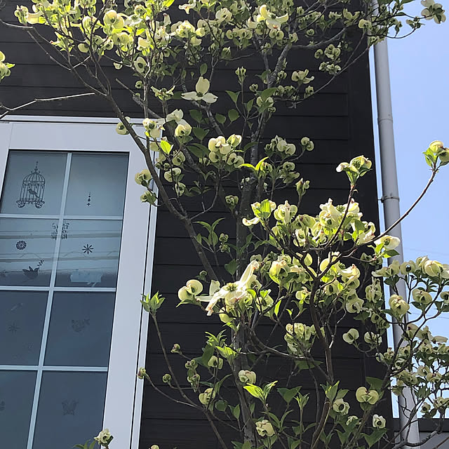 Andaluciaさんの部屋