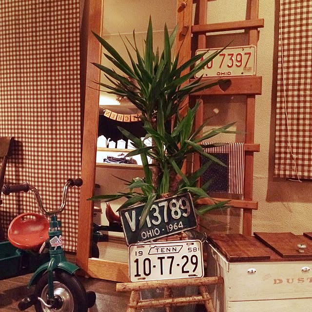 jamm10さんの実例写真