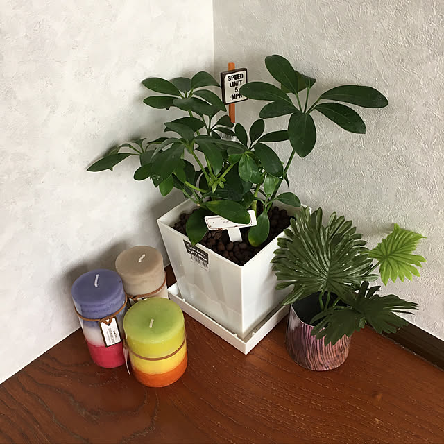 t-blueさんの実例写真