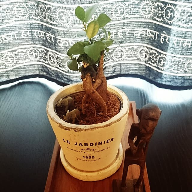 SARU89さんの実例写真
