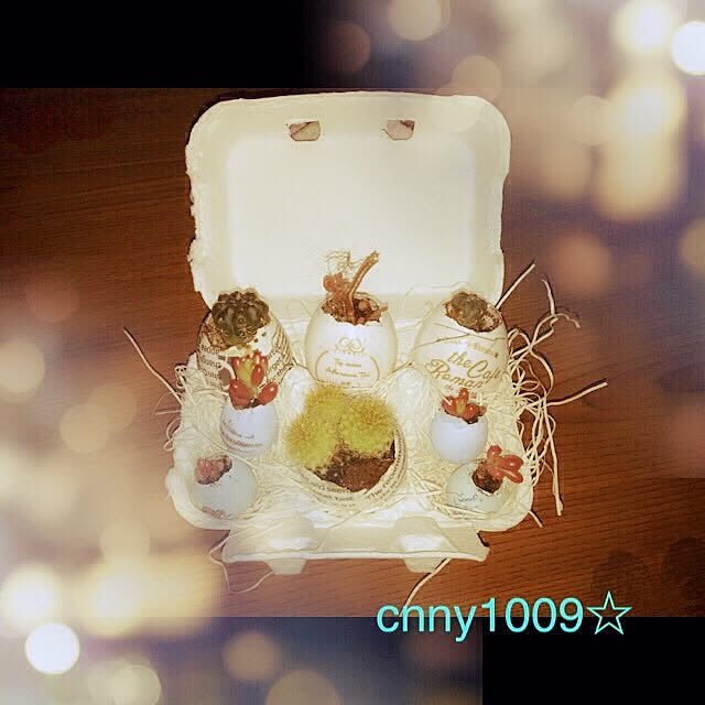 cnny1009さんの実例写真