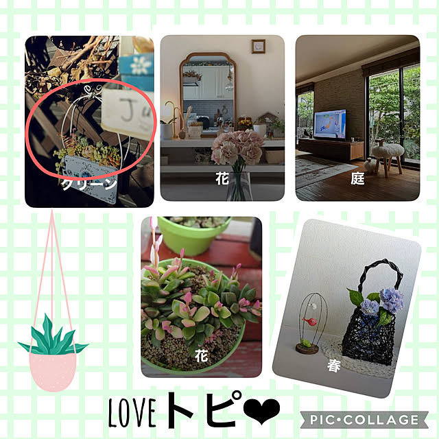 CoCo0617さんの実例写真