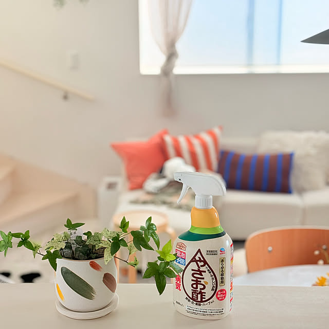 mri96さんの実例写真