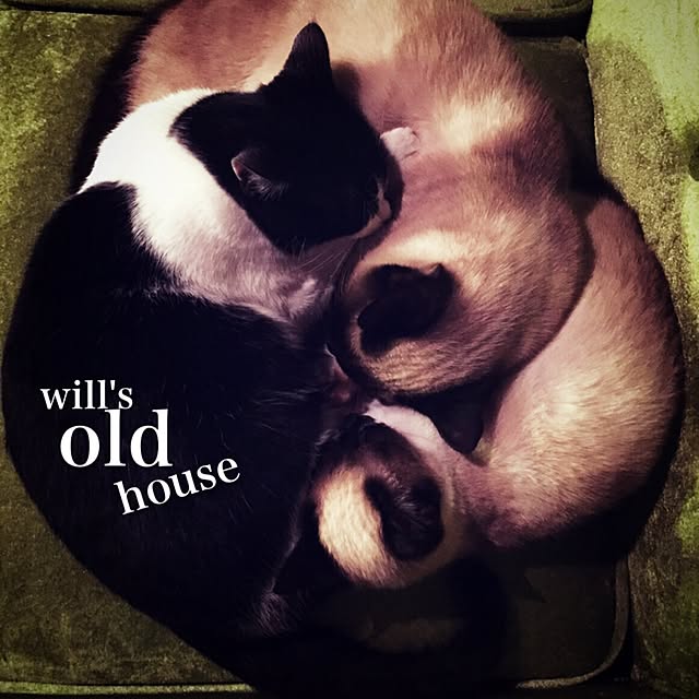 willsoldhouseさんの実例写真