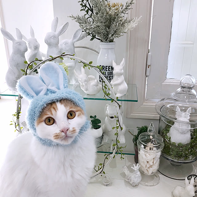 yuchiさんの実例写真