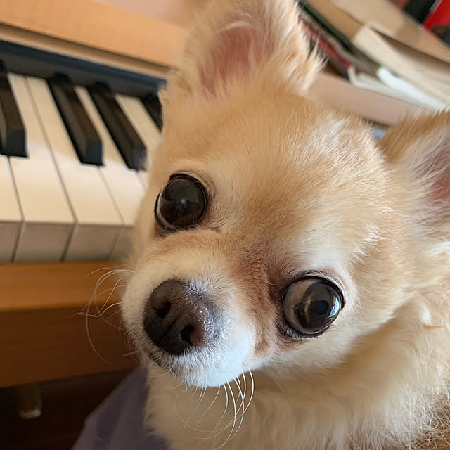 JUさんの実例写真