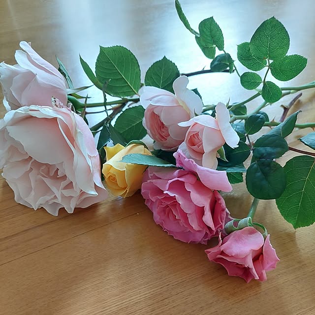 実例写真