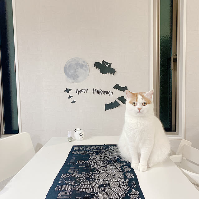 chamihomeさんの実例写真