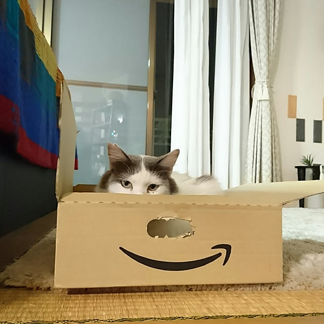 uchizukonyanさんの実例写真