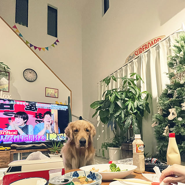 marinkoさんの実例写真