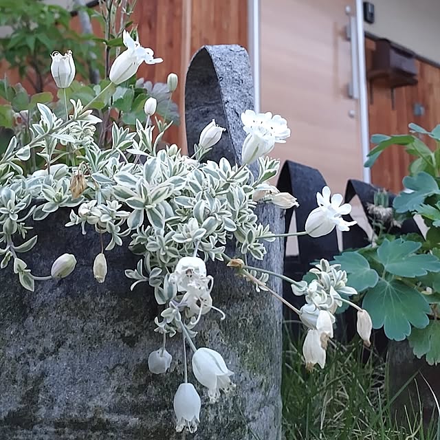 t.yumiさんの部屋