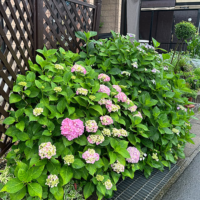 ritsukoさんの実例写真