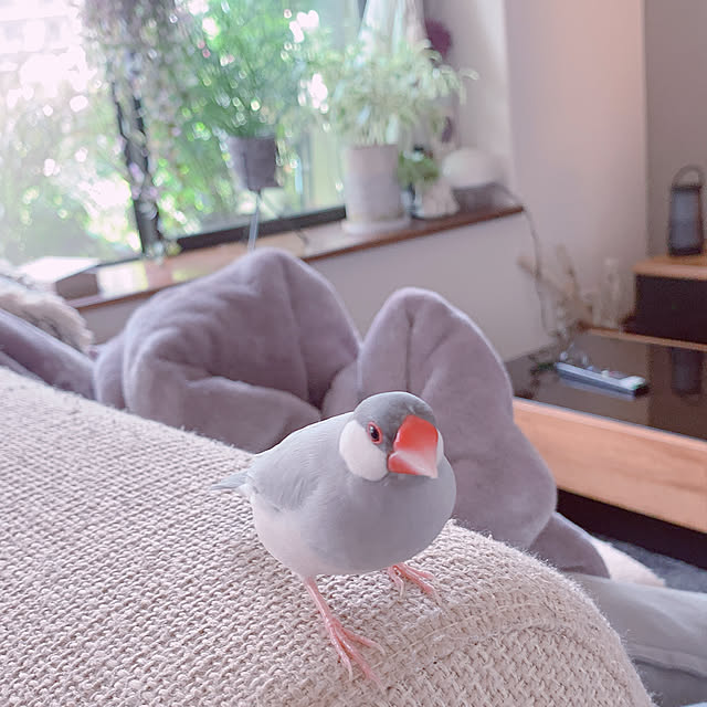Tenさんの実例写真