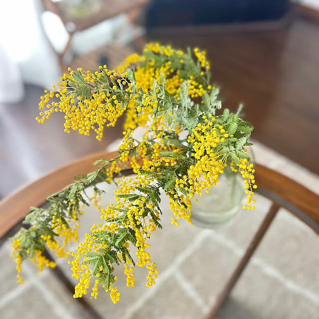 pororoさんの実例写真