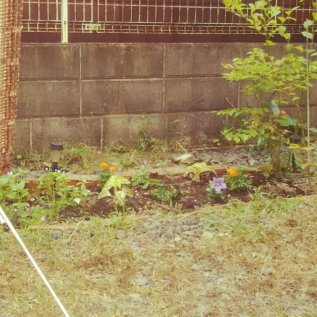 mokanaさんの実例写真