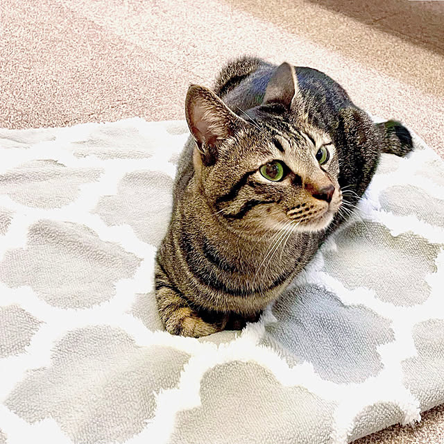myuさんの実例写真
