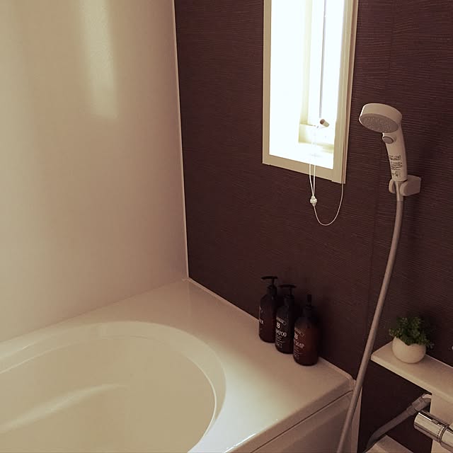 バス/トイレのインテリア実例 - 2016-06-14 20:24:41