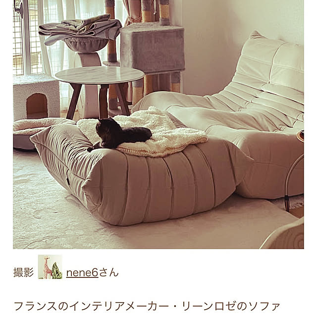 nene6さんの実例写真
