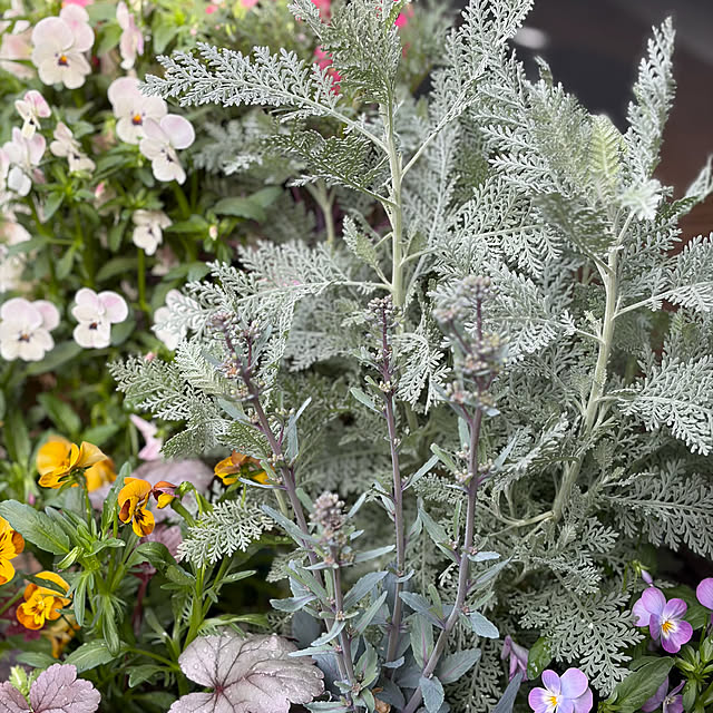 buchiさんの実例写真