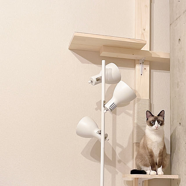colette_leon.mamaさんの部屋