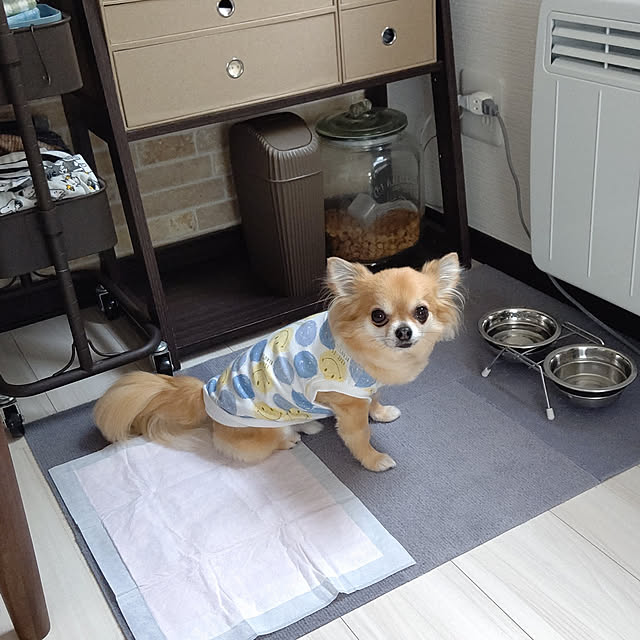 kojikojiさんの実例写真