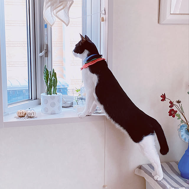 moolさんの実例写真