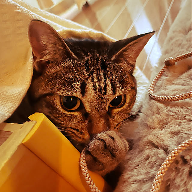 Mさんの実例写真