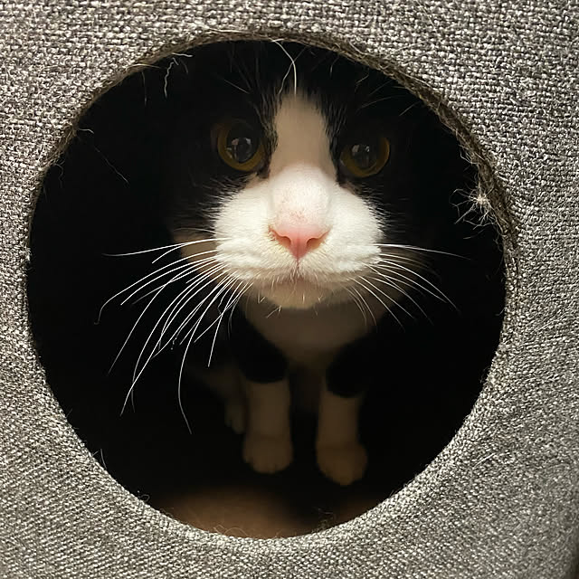 mignonさんの実例写真