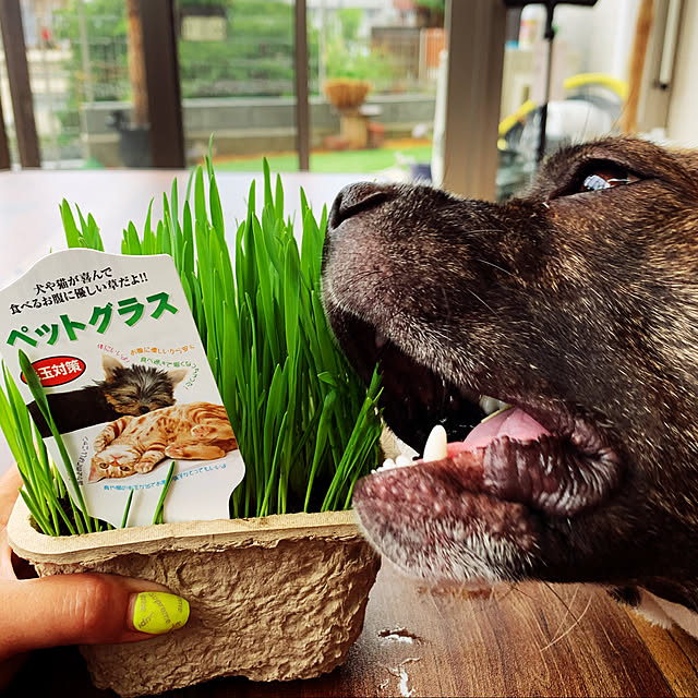 Maさんの実例写真