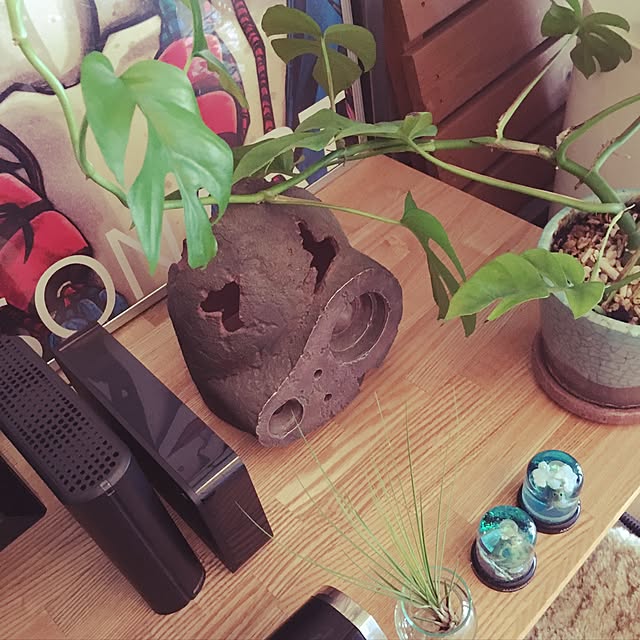 shirokumaさんの実例写真