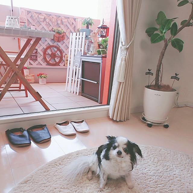 yumegu8さんの実例写真