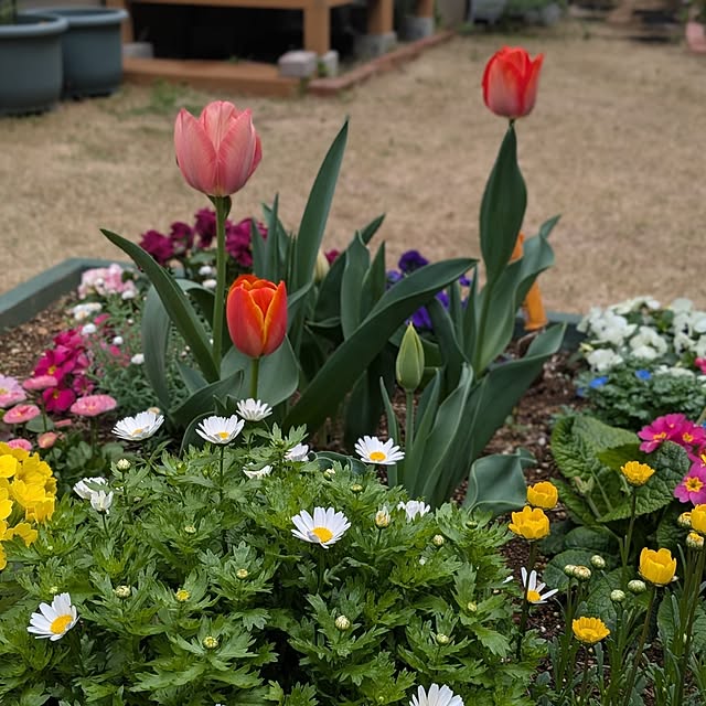 reeさんの実例写真