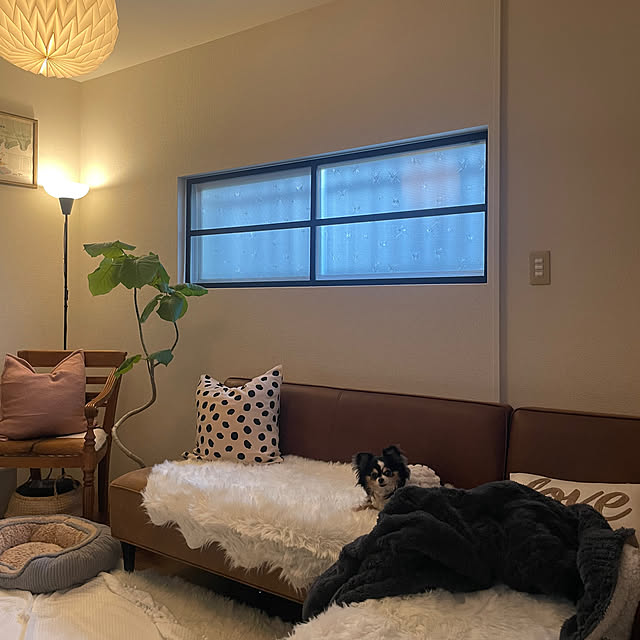 cocochanさんの実例写真