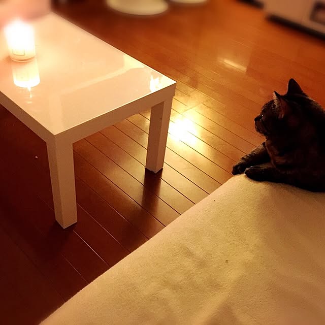 masakahazu82さんの実例写真